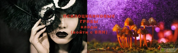 спиды Арсеньев