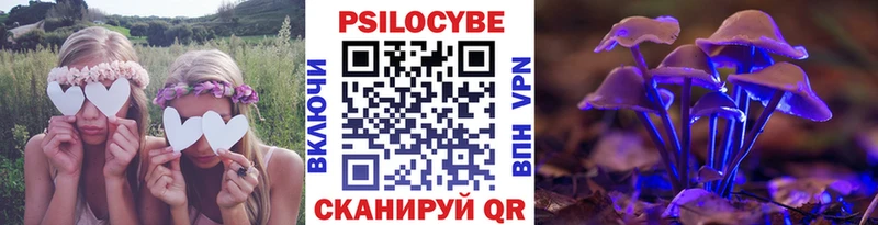 Купить закладки  Мегион  Псилоцибиновые грибы мухоморы 