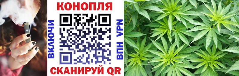 Канабис план  Купить закладки  Мегион 